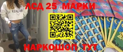 СК Моздок