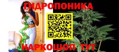 прущие крисы Можга