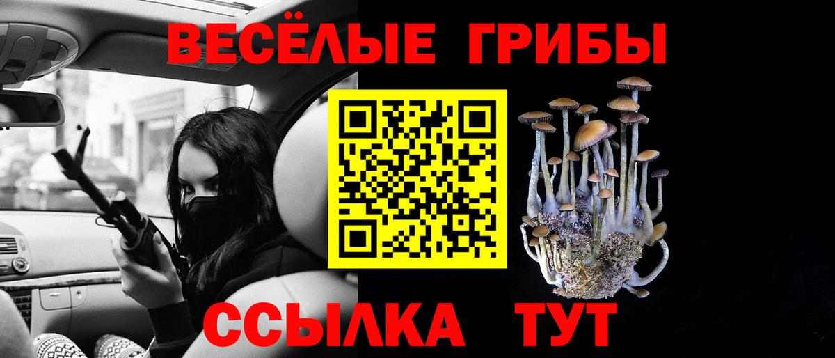 Псилоцибиновые грибы прущие грибы  купить наркотики цена  Печора  Вход с VPN 
